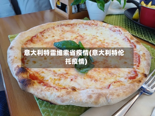 意大利特雷维索省疫情(意大利特伦托疫情)-第2张图片