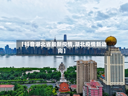 【抖音湖北省最新疫情,湖北疫情新动向】-第1张图片