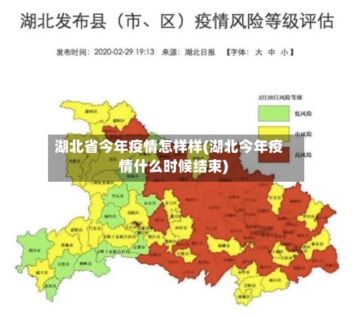 湖北省今年疫情怎样样(湖北今年疫情什么时候结束)-第2张图片