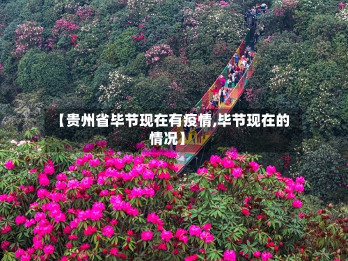 【贵州省毕节现在有疫情,毕节现在的情况】-第1张图片