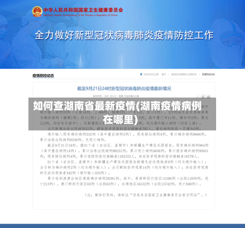 如何查湖南省最新疫情(湖南疫情病例在哪里)-第1张图片