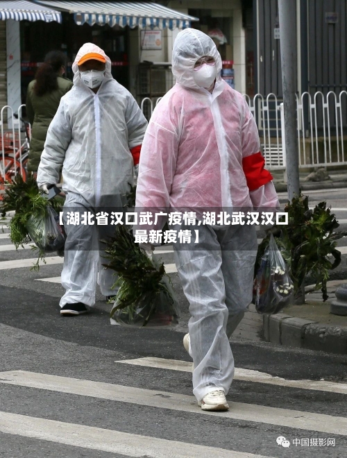 【湖北省汉口武广疫情,湖北武汉汉口最新疫情】-第1张图片