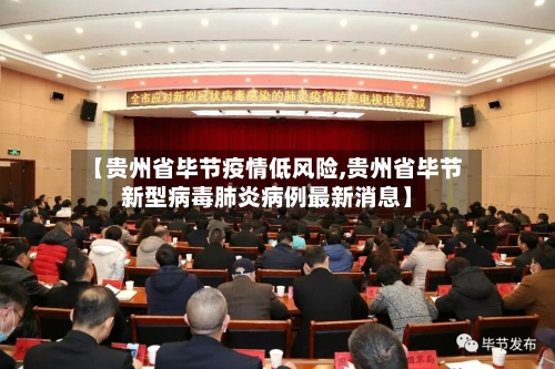【贵州省毕节疫情低风险,贵州省毕节新型病毒肺炎病例最新消息】-第3张图片
