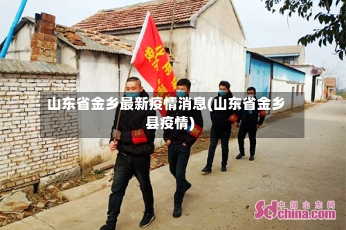 山东省金乡最新疫情消息(山东省金乡县疫情)-第3张图片