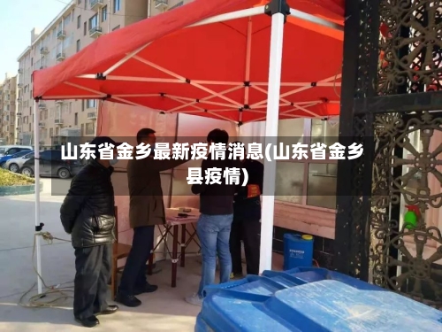 山东省金乡最新疫情消息(山东省金乡县疫情)-第1张图片