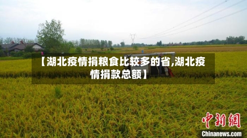 【湖北疫情捐粮食比较多的省,湖北疫情捐款总额】-第2张图片