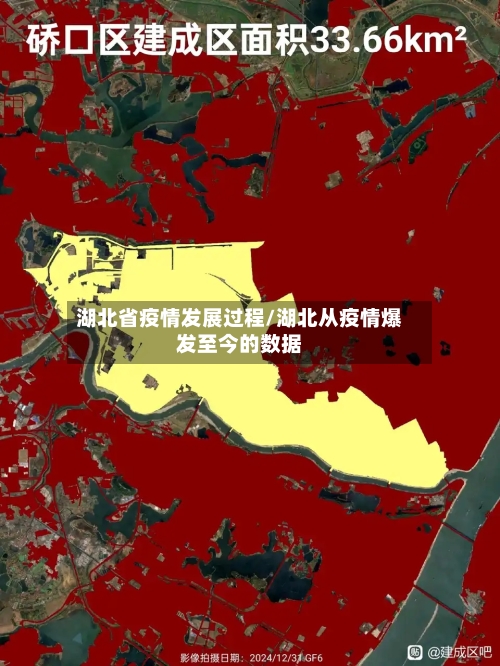 湖北省疫情发展过程/湖北从疫情爆发至今的数据-第2张图片