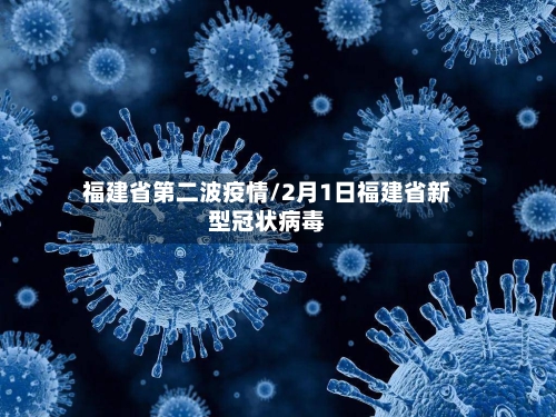 福建省第二波疫情/2月1日福建省新型冠状病毒-第2张图片