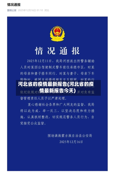 河北省的疫情最新报告(河北省的疫情最新报告今天)-第3张图片