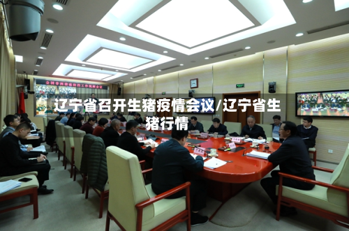 辽宁省召开生猪疫情会议/辽宁省生猪行情-第1张图片