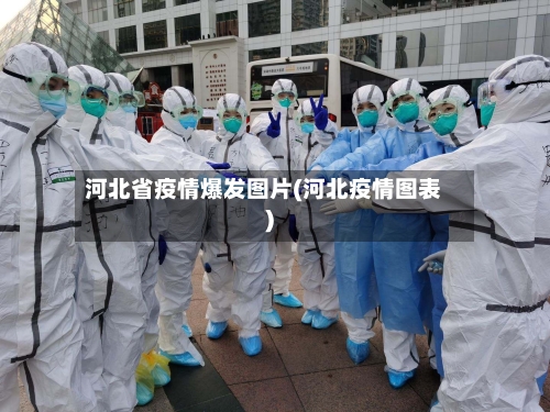 河北省疫情爆发图片(河北疫情图表)-第3张图片