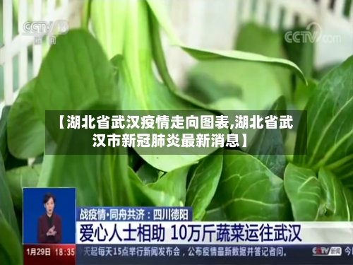 【湖北省武汉疫情走向图表,湖北省武汉市新冠肺炎最新消息】-第1张图片