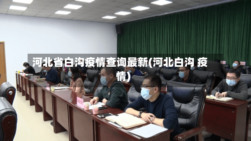 河北省白沟疫情查询最新(河北白沟 疫情)-第2张图片