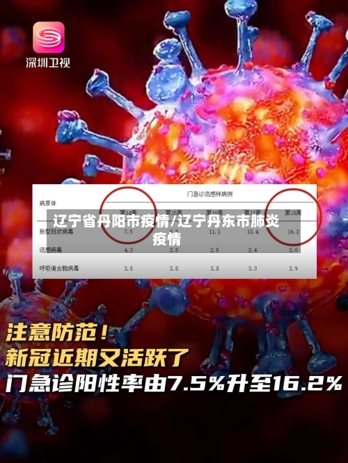 辽宁省丹阳市疫情/辽宁丹东市肺炎疫情-第2张图片