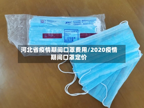 河北省疫情期间口罩费用/2020疫情期间口罩定价-第1张图片