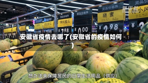 安徽省疫情去哪了(安徽省的疫情如何)-第3张图片