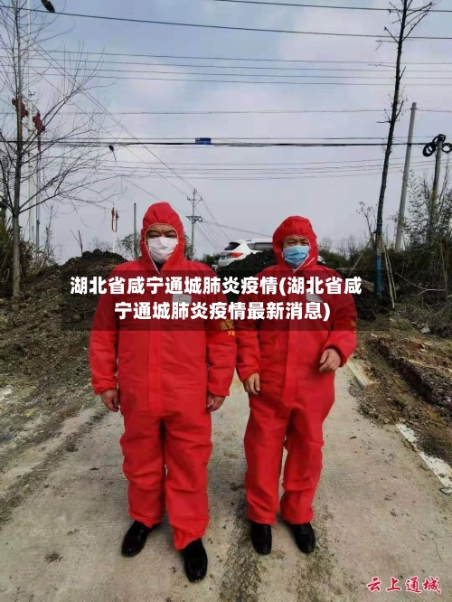湖北省咸宁通城肺炎疫情(湖北省咸宁通城肺炎疫情最新消息)-第3张图片