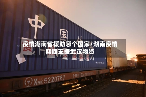疫情湖南省援助哪个国家/湖南疫情期间支援武汉物资-第2张图片