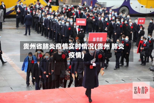 贵州省肺炎疫情实时情况(贵州 肺炎 疫情)-第2张图片