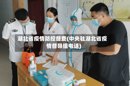 湖北省疫情防控督查(中央驻湖北省疫情督导组电话)-第3张图片