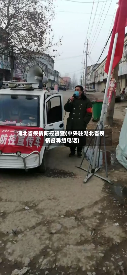 湖北省疫情防控督查(中央驻湖北省疫情督导组电话)-第1张图片