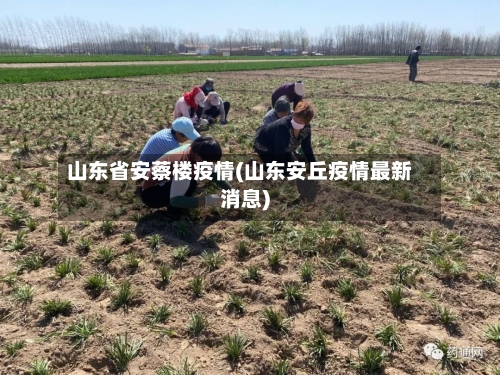山东省安蔡楼疫情(山东安丘疫情最新消息)-第1张图片