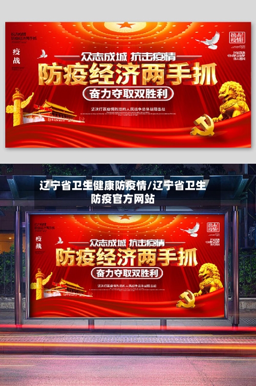 辽宁省卫生健康防疫情/辽宁省卫生防疫官方网站-第1张图片
