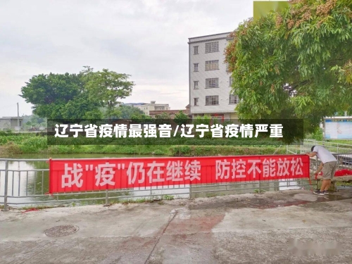 辽宁省疫情最强音/辽宁省疫情严重-第1张图片