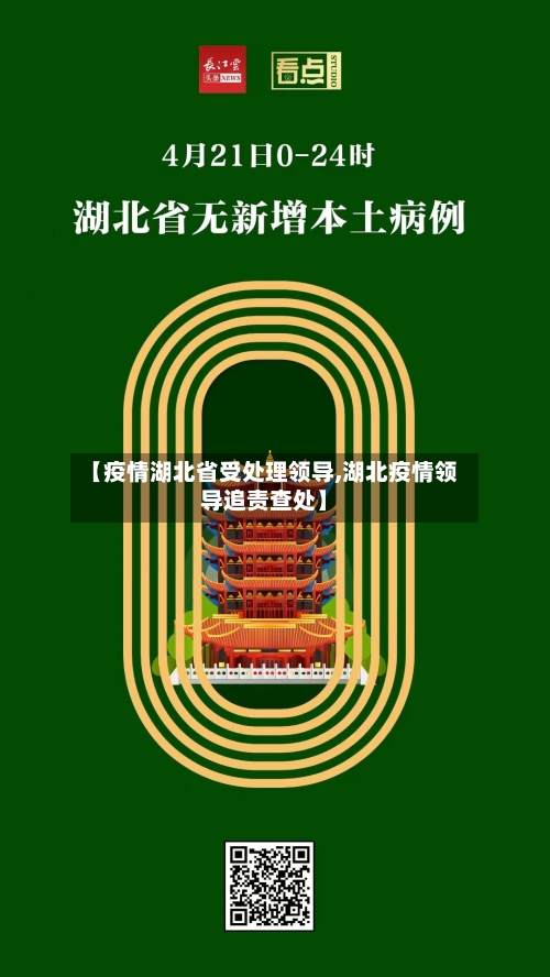 【疫情湖北省受处理领导,湖北疫情领导追责查处】-第3张图片