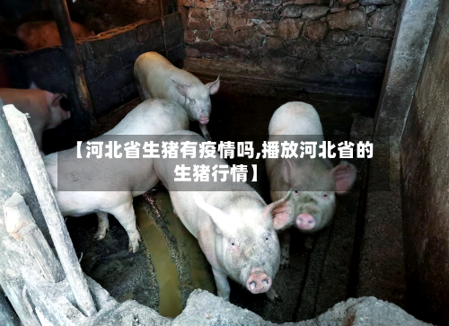 【河北省生猪有疫情吗,播放河北省的生猪行情】-第1张图片