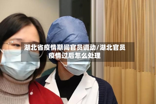 湖北省疫情期间官员调动/湖北官员疫情过后怎么处理-第2张图片
