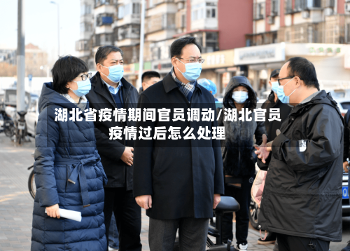 湖北省疫情期间官员调动/湖北官员疫情过后怎么处理-第1张图片