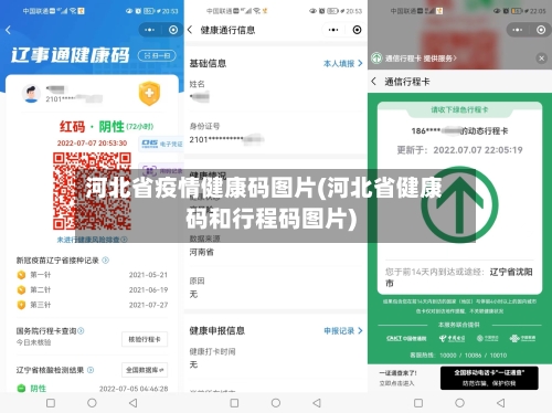 河北省疫情健康码图片(河北省健康码和行程码图片)-第1张图片