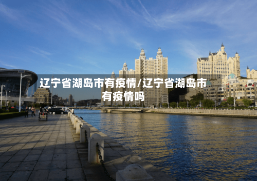 辽宁省湖岛市有疫情/辽宁省湖岛市有疫情吗-第3张图片