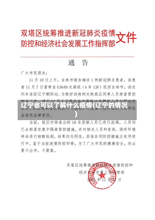 辽宁省可以了解什么疫情(辽宁的情况)-第1张图片
