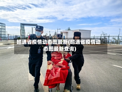 昭通省疫情动态图最新(昭通省疫情动态图最新查询)-第2张图片