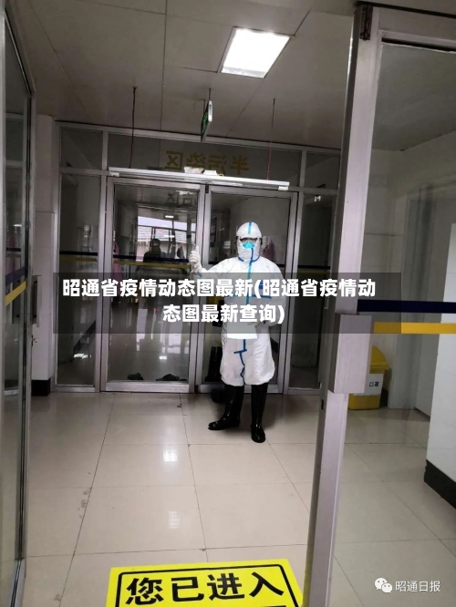 昭通省疫情动态图最新(昭通省疫情动态图最新查询)-第3张图片