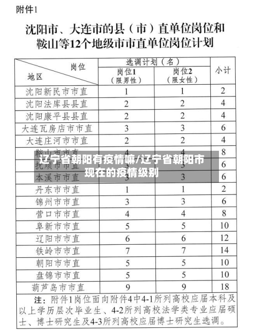 辽宁省朝阳有疫情嘛/辽宁省朝阳市现在的疫情级别-第2张图片