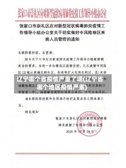 辽宁哪个省疫情严重了呢(辽宁省哪个地区疫情严重)-第2张图片