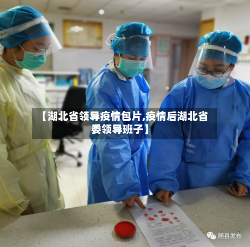 【湖北省领导疫情包片,疫情后湖北省委领导班子】-第1张图片