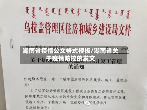 湖南省疫情公文格式模板/湖南省关于疫情防控的发文-第3张图片