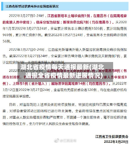 湖北省疫情每天通报最新(湖北通报全省疫情最新进展情况)-第2张图片