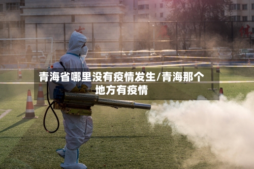 青海省哪里没有疫情发生/青海那个地方有疫情-第2张图片