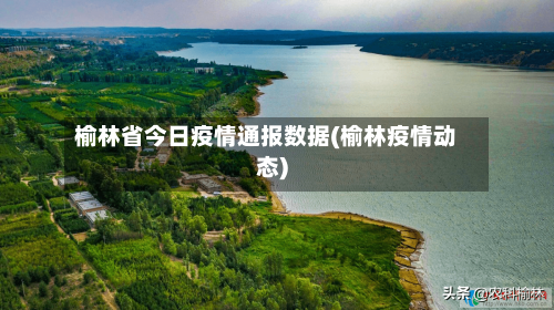 榆林省今日疫情通报数据(榆林疫情动态)-第2张图片
