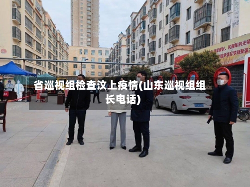 省巡视组检查汶上疫情(山东巡视组组长电话)-第1张图片