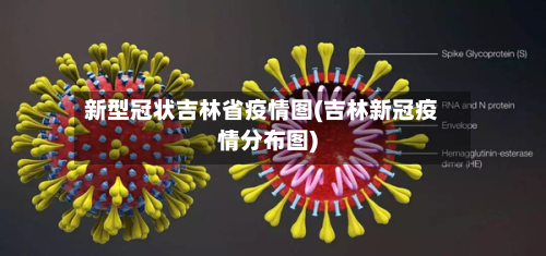 新型冠状吉林省疫情图(吉林新冠疫情分布图)-第1张图片