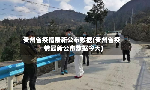 贵州省疫情最新公布数据(贵州省疫情最新公布数据今天)-第3张图片