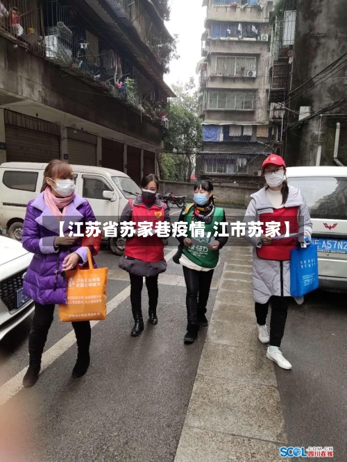 【江苏省苏家巷疫情,江市苏家】-第3张图片