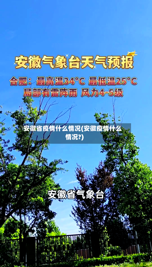 安徽省疫情什么情况(安徽疫情什么情况?)-第2张图片