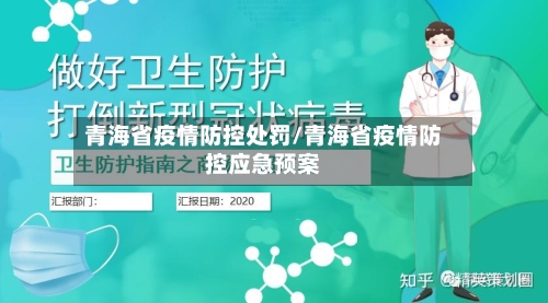 青海省疫情防控处罚/青海省疫情防控应急预案-第2张图片